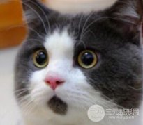 开眼角和不开眼角有不一样吗？前后对比图直接展示