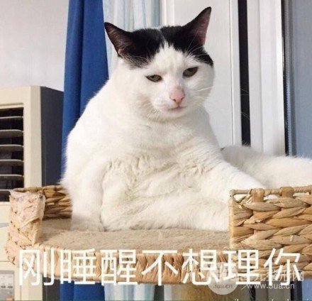 面部除皱术哪种果好?了解下这几种方式