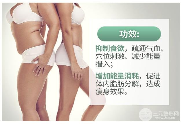 什么是中医中医减肥?