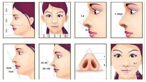 做隆鼻手术多少钱?