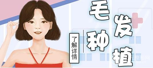 头发的种植技术有哪些?方式盘点!