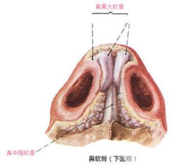 手术后该注意什么？