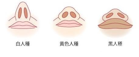 鼻头缩小术前注意事项