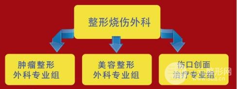 北京大学第一医院整形烧伤科的科室简介