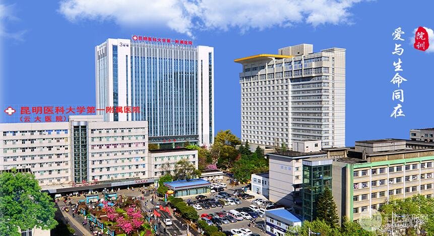 硬核云大医院整形美容科医生名单全项目价格表新版