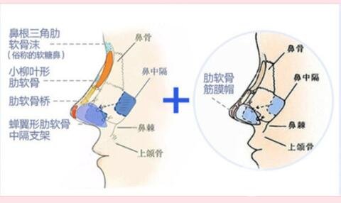 朝天鼻整形多少钱？影响价格因素分析！
