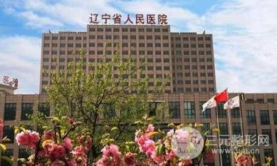 马住!辽宁省人民医院整形外科主任医生名单大全~