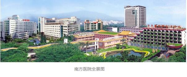 南方醫(yī)院科室概況