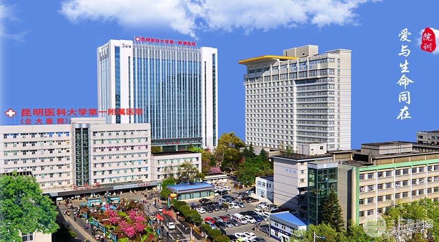 全新昆明云大医院整形价格表春季优惠一键get双眼皮隆鼻价格