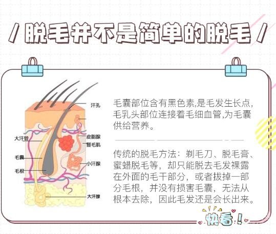 冰点脱毛的原理