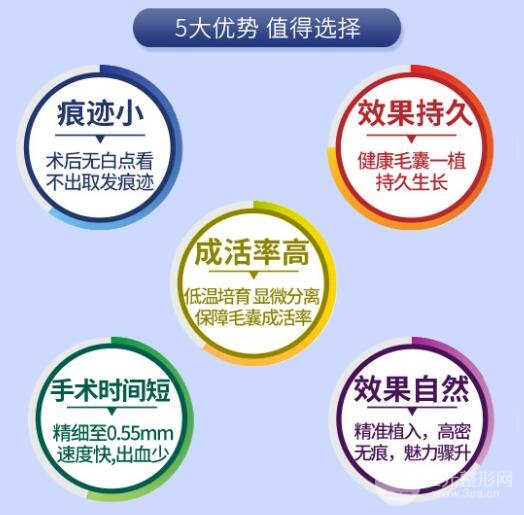 鬓角种植头发大概多少钱?