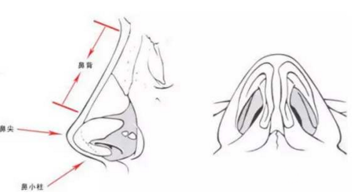 假体隆鼻手术降低风险吗