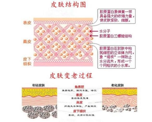 电波拉皮除皱的价格