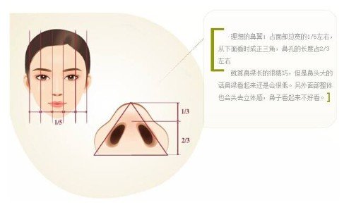 鼻翼肥大整形多少钱