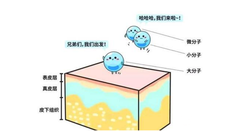 公主玻尿酸属于什么类型的玻尿酸?