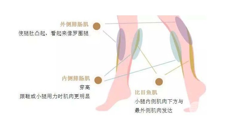 注射瘦脸注射瘦腿果维持时间