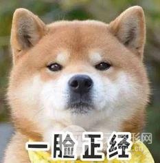 连整形医生都拒绝的整形美容项目，你敢做吗？