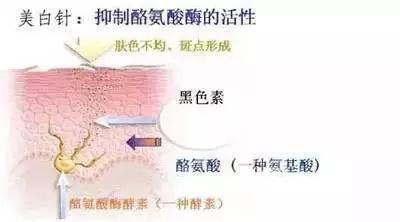 注射注射美白大概需要多少钱