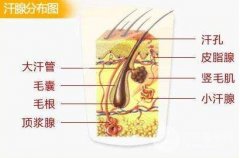 讲讲微创去除狐臭是什么?手术过程详解及注意事项