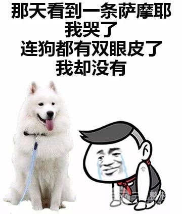 受欢迎的整形手术