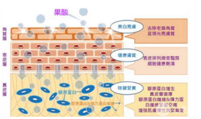 敏感肌别做果酸活肤缓解