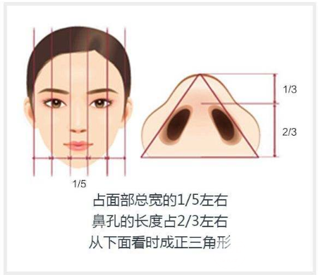 鼻翼缩小术费用