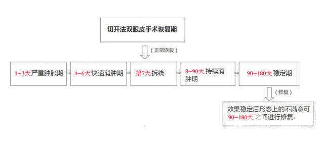 全切双眼皮增生图片