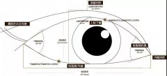 双眼皮6 7 8毫米果图分享 康康你喜欢哪种？