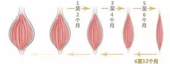 注射瘦腿果