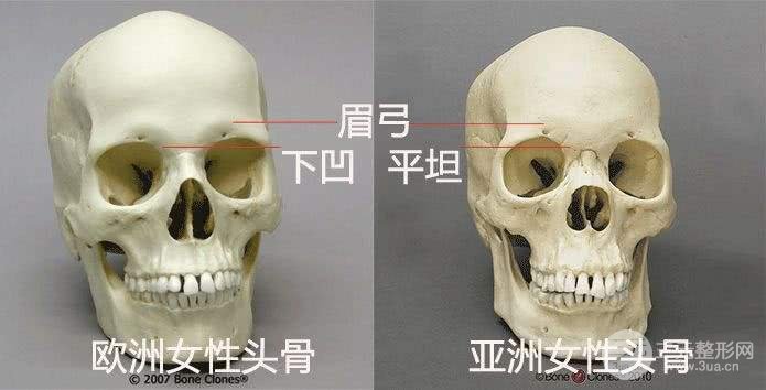 人欧式眼睛图片