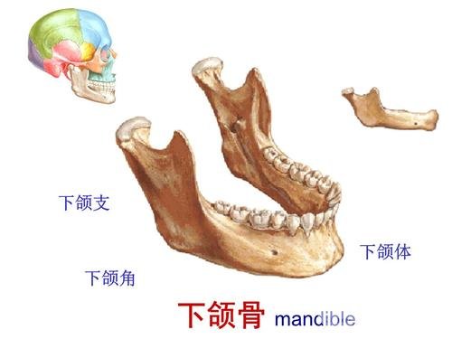 磨骨手术后的恢复时间