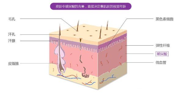 打玻尿酸注意事项