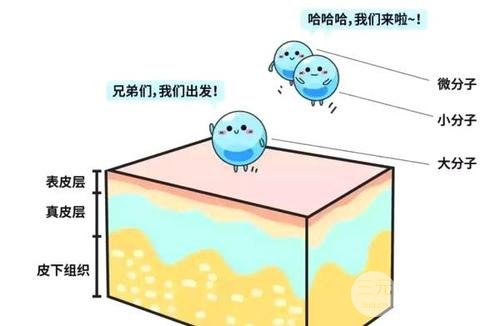 进口玻尿酸十大排行榜