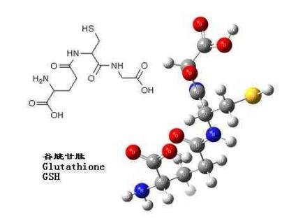 谷胱甘肽