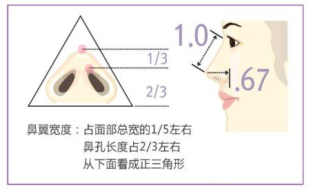 缩鼻翼前后对比照