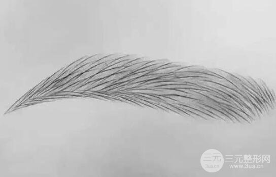 纹眉的技术特点