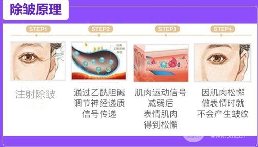 除鱼尾纹什么果好