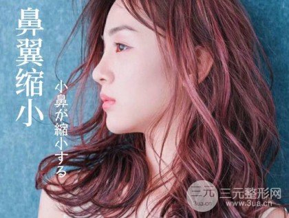 缩鼻翼头要多少钱