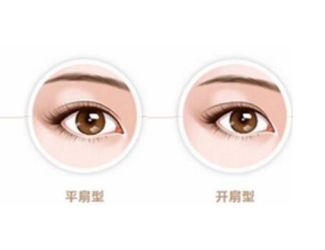 平扇和开扇的果图