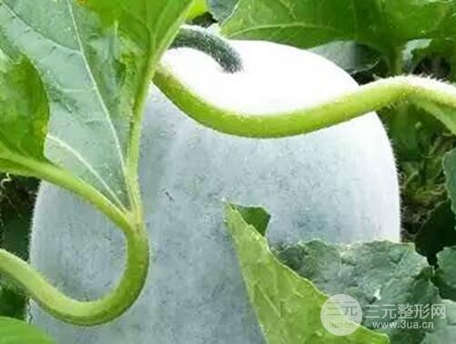去眼袋较有的土方法是什么?真的有果吗?