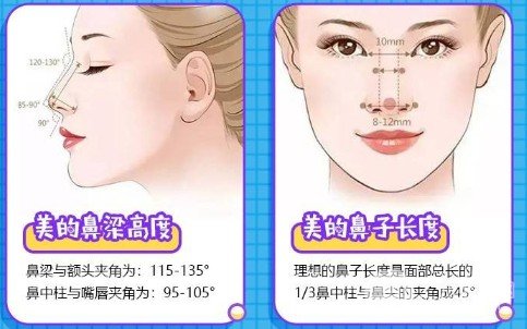 垫鼻子好不好