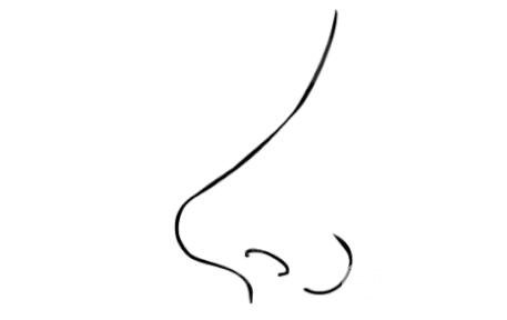 什么样的人需要鼻整形术?