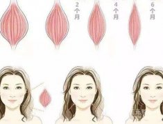 注射瘦脸多长时间见？别着急，先看完这篇科普再去打！