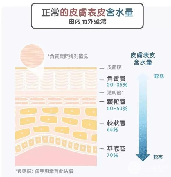 江疏影被嘲完"老阿姨"又遭吐槽皮肤太差?人家明明是素颜女王!