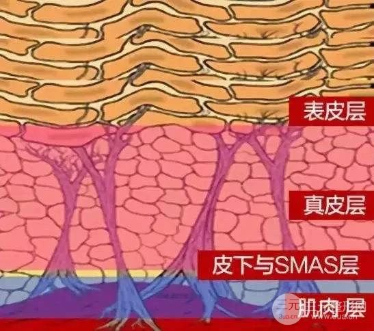 热拉提