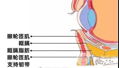 眼袋