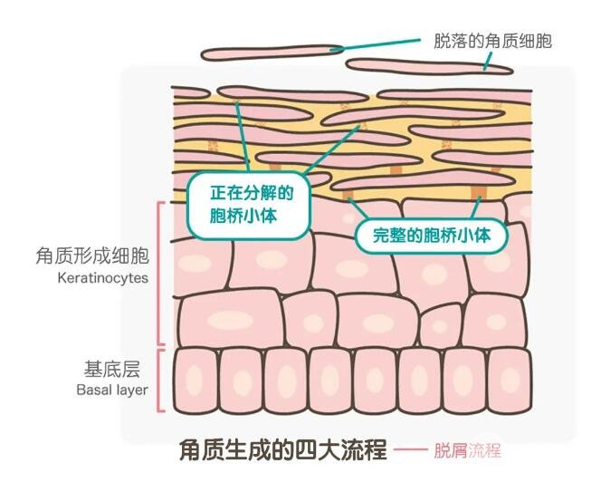 汗管瘤又是怎么回事呢?
