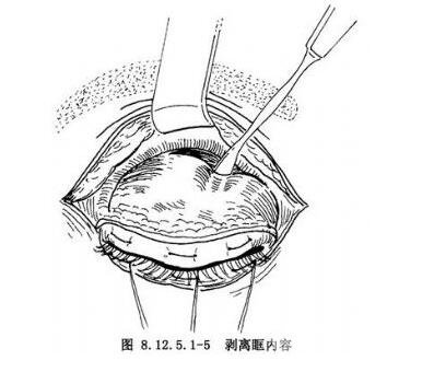 这里有一份更官方的介绍：