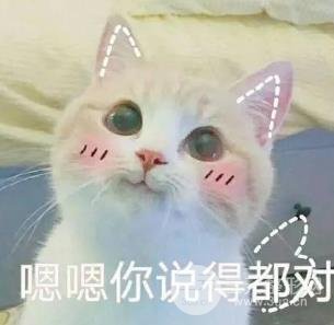 被石原里美模仿，却从未被超越的女神，为何7年后让人念念不忘？