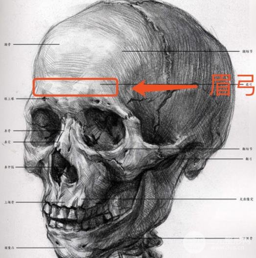 这个部位do得好,浑然天成的高ji感说来就来!